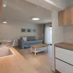 Arelia Beachfront Sea View * 佩科霍里