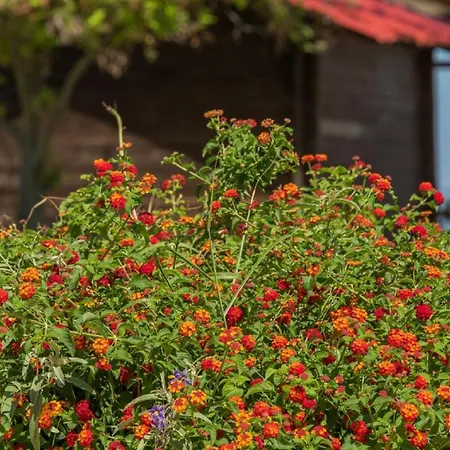 아파트 Arelia Beachfront Sea View *